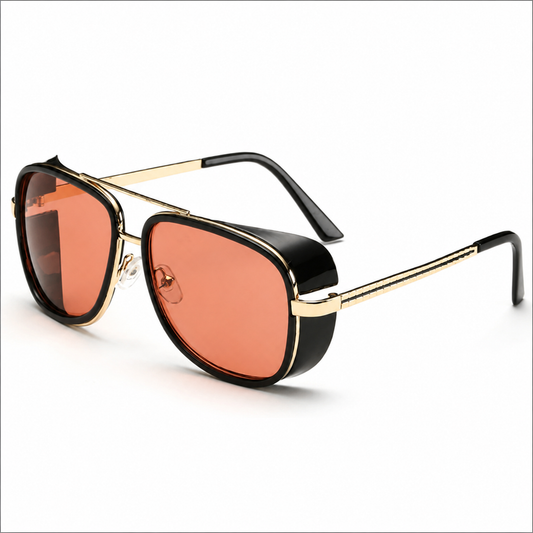 Windshield sunglasses